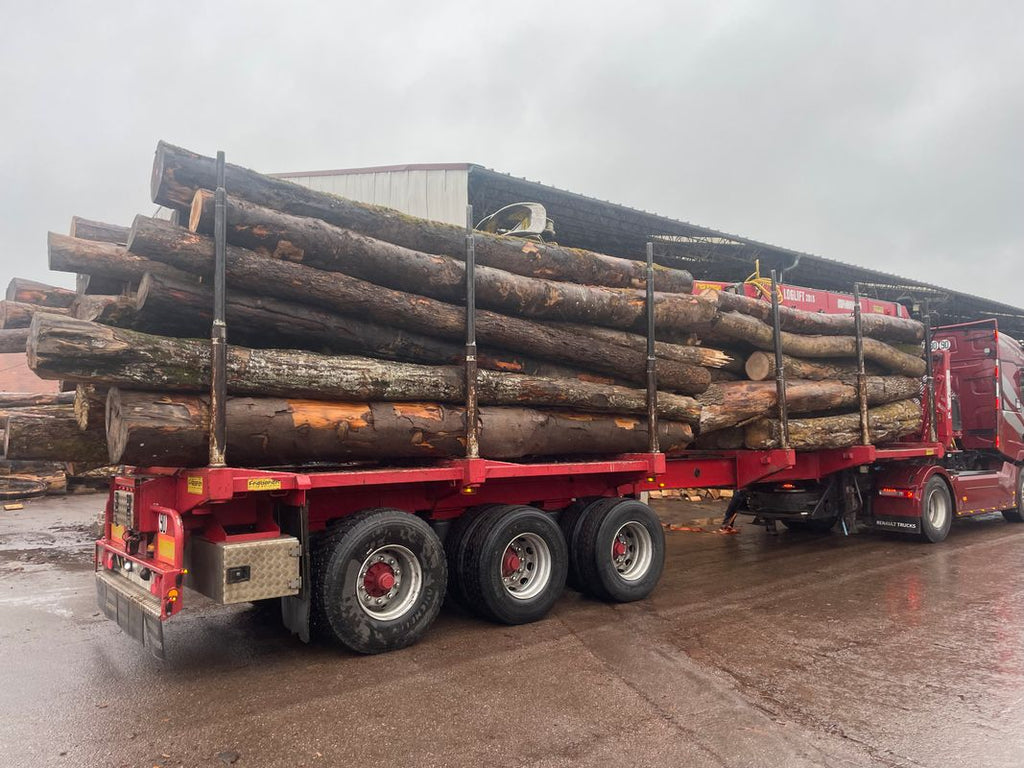 Camião carregado com 50 metros cúbicos de toros de faia, carvalho, carpa, ulmeiro, freixo e choupo.